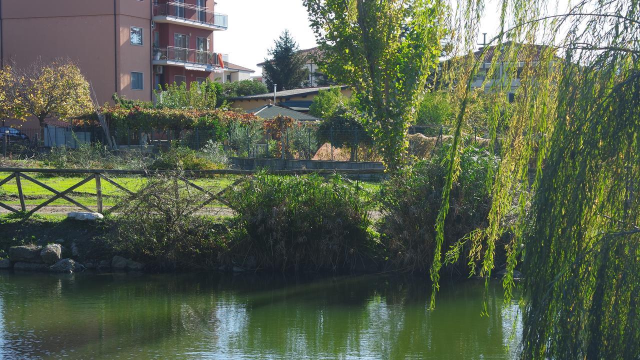 Agriturismo Masseria I Risi Guest House SantʼEufemia Lamezia Екстериор снимка