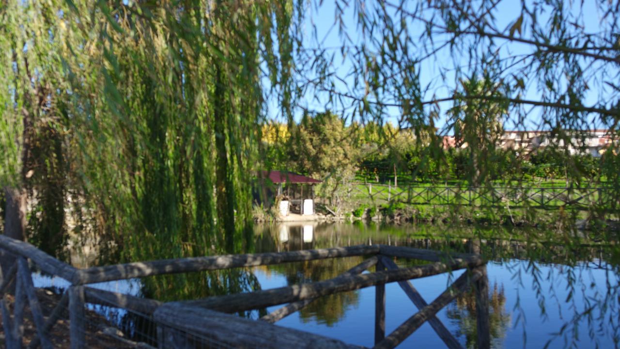 Agriturismo Masseria I Risi Guest House SantʼEufemia Lamezia Екстериор снимка