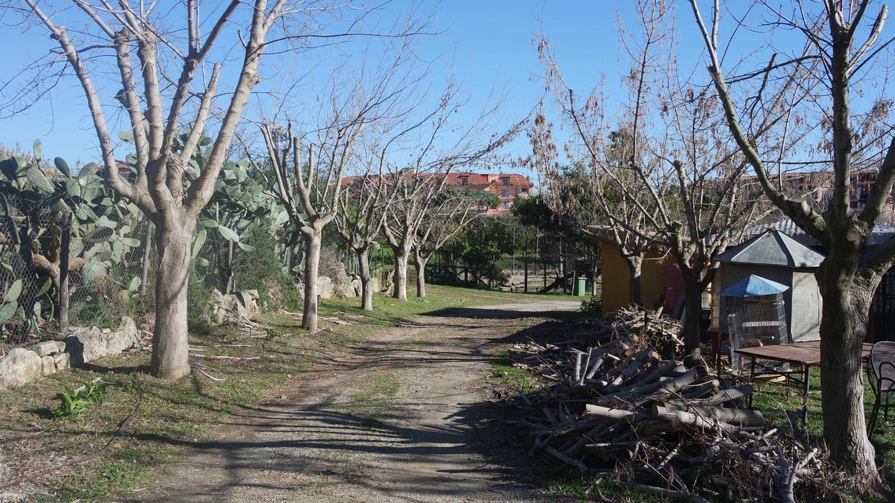Agriturismo Masseria I Risi Guest House SantʼEufemia Lamezia Екстериор снимка