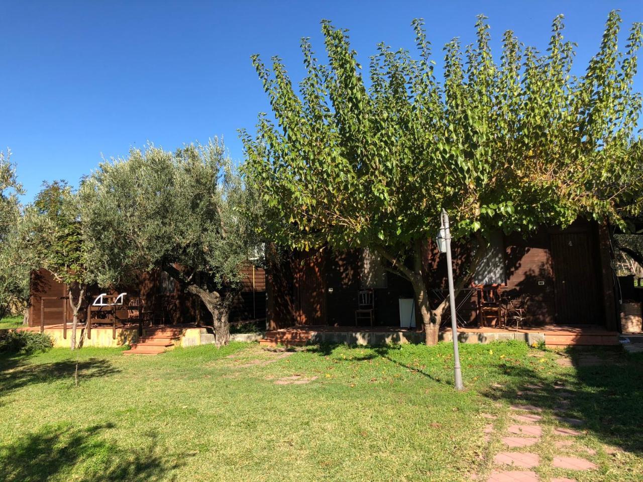 Agriturismo Masseria I Risi Guest House SantʼEufemia Lamezia Екстериор снимка